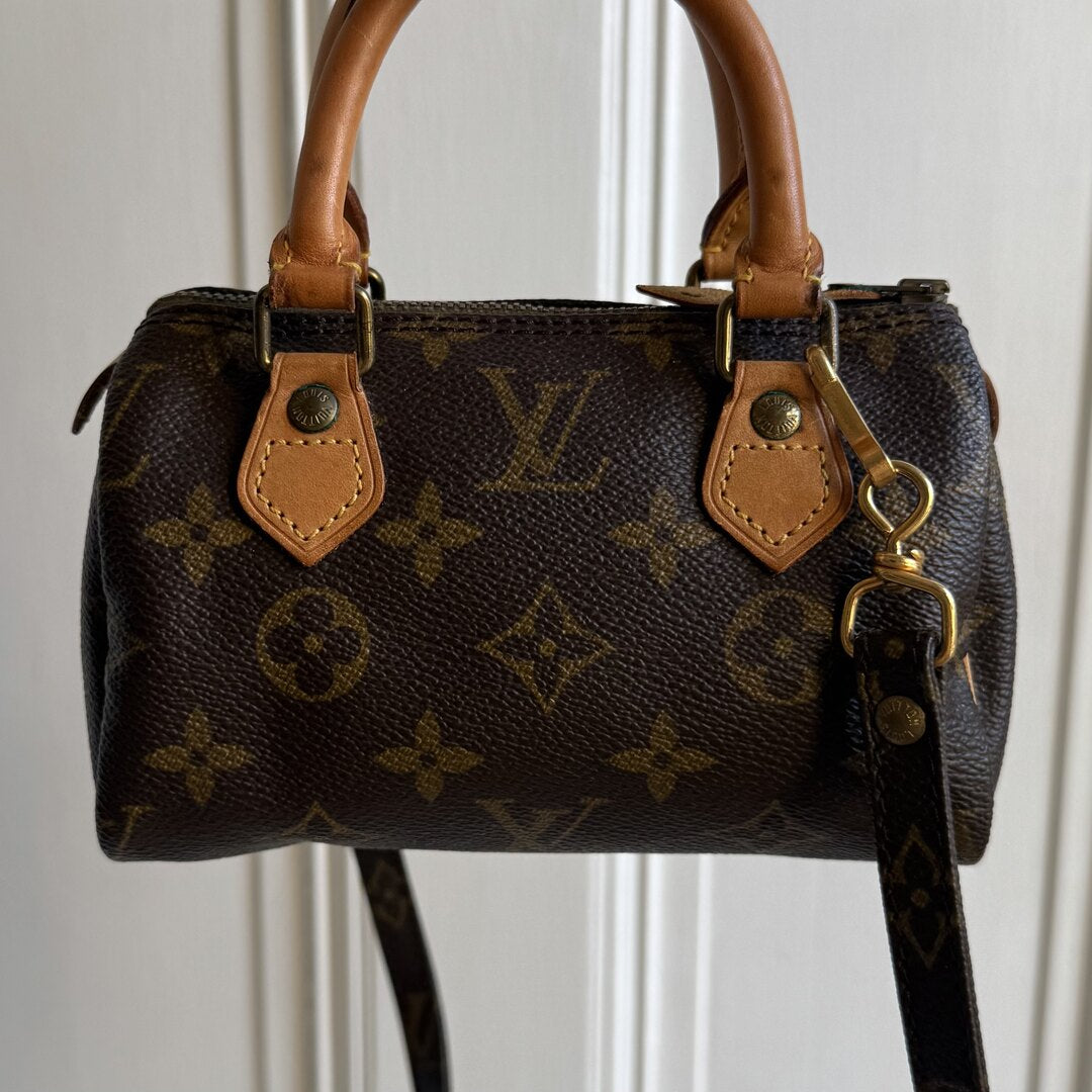 Louis Vuitton Monogram Mini Speedy Bag