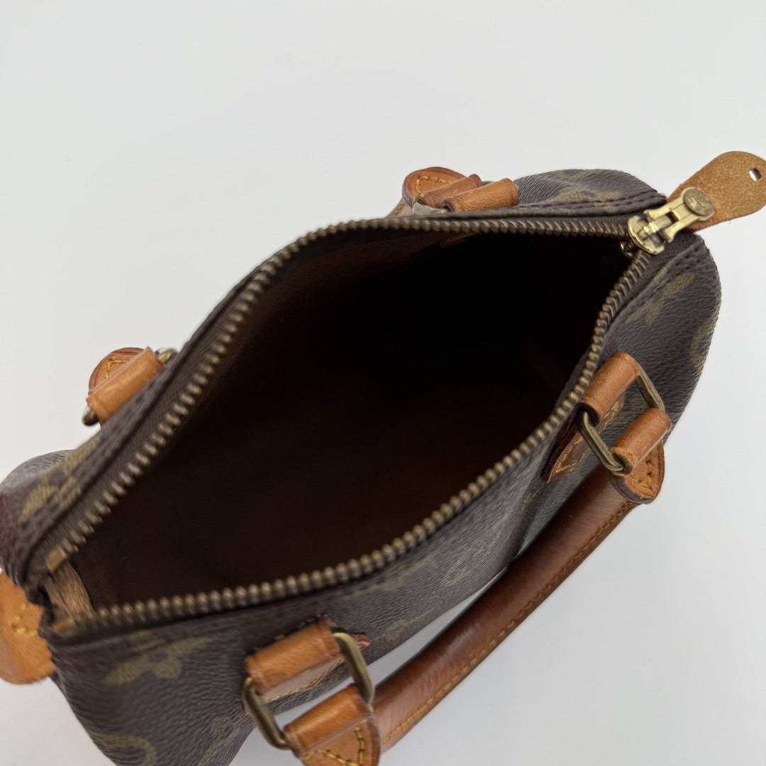 Louis Vuitton Monogram Nano Speedy Bag