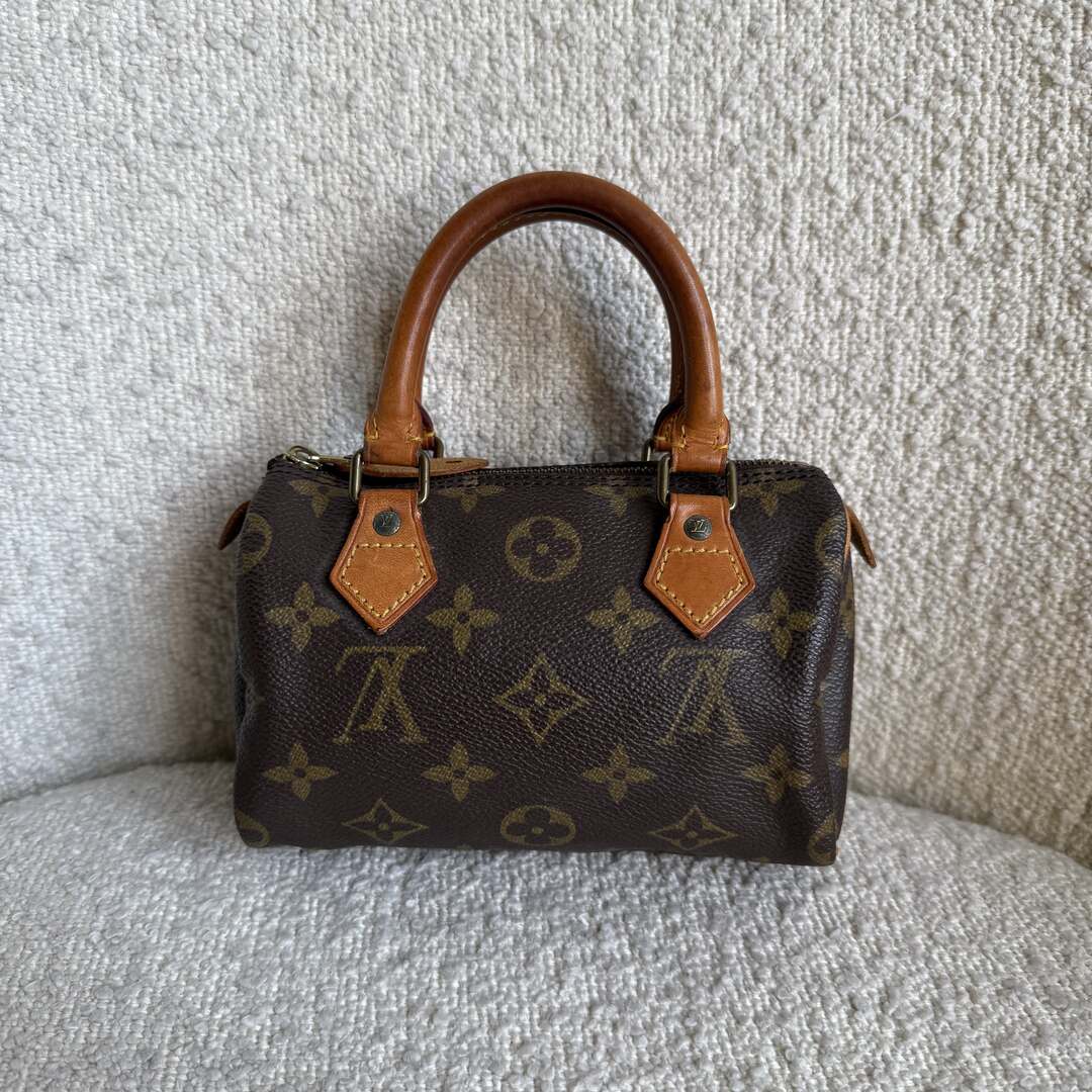 Louis Vuitton Monogram Nano Speedy Bag