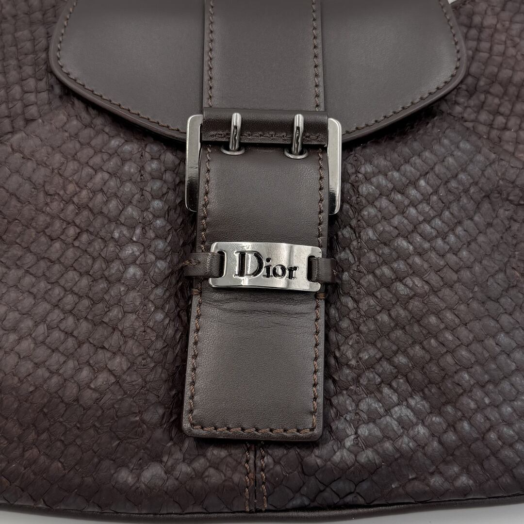 Dior Street Chic Snakeskin Brown Leather Shoulder Bag