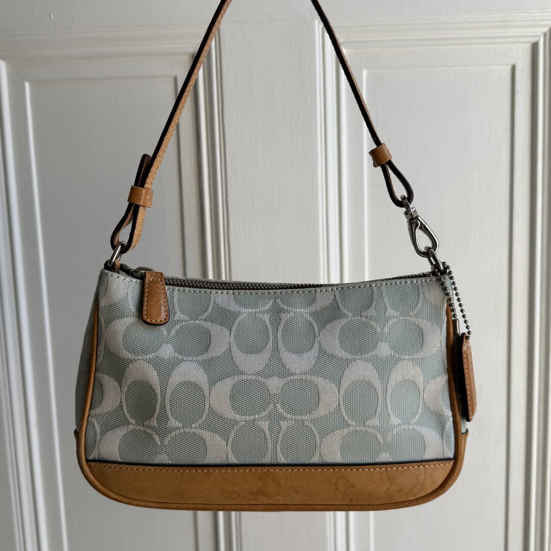 Coach Signature Demi Blue Shoulder Bag