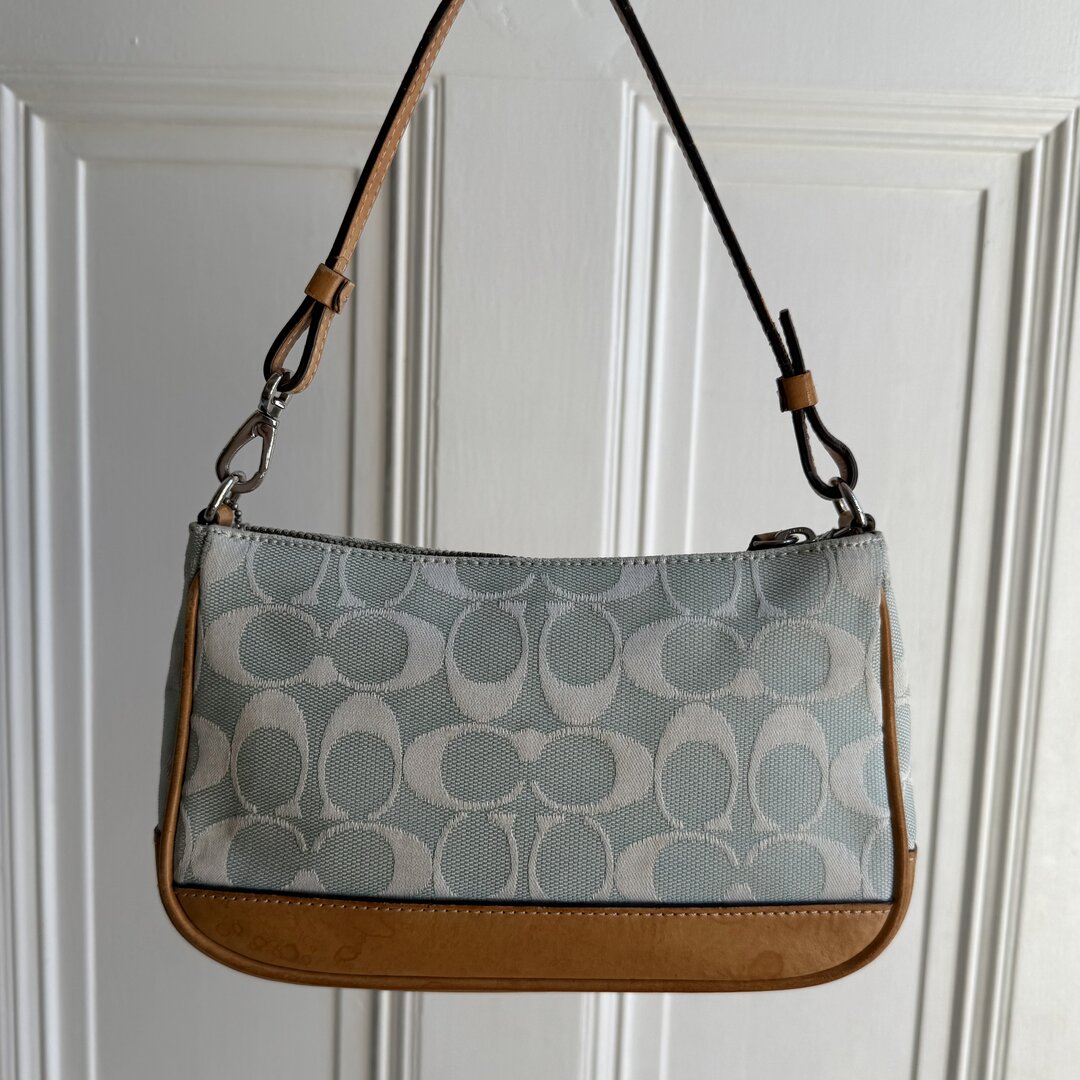 Coach Signature Demi Blue Shoulder Bag