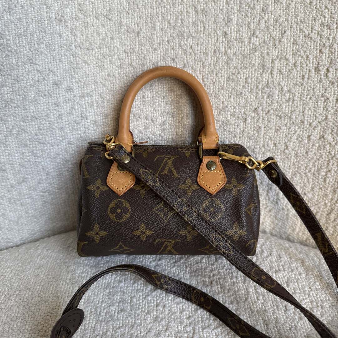 Louis Vuitton Monogram Mini Speedy Bag