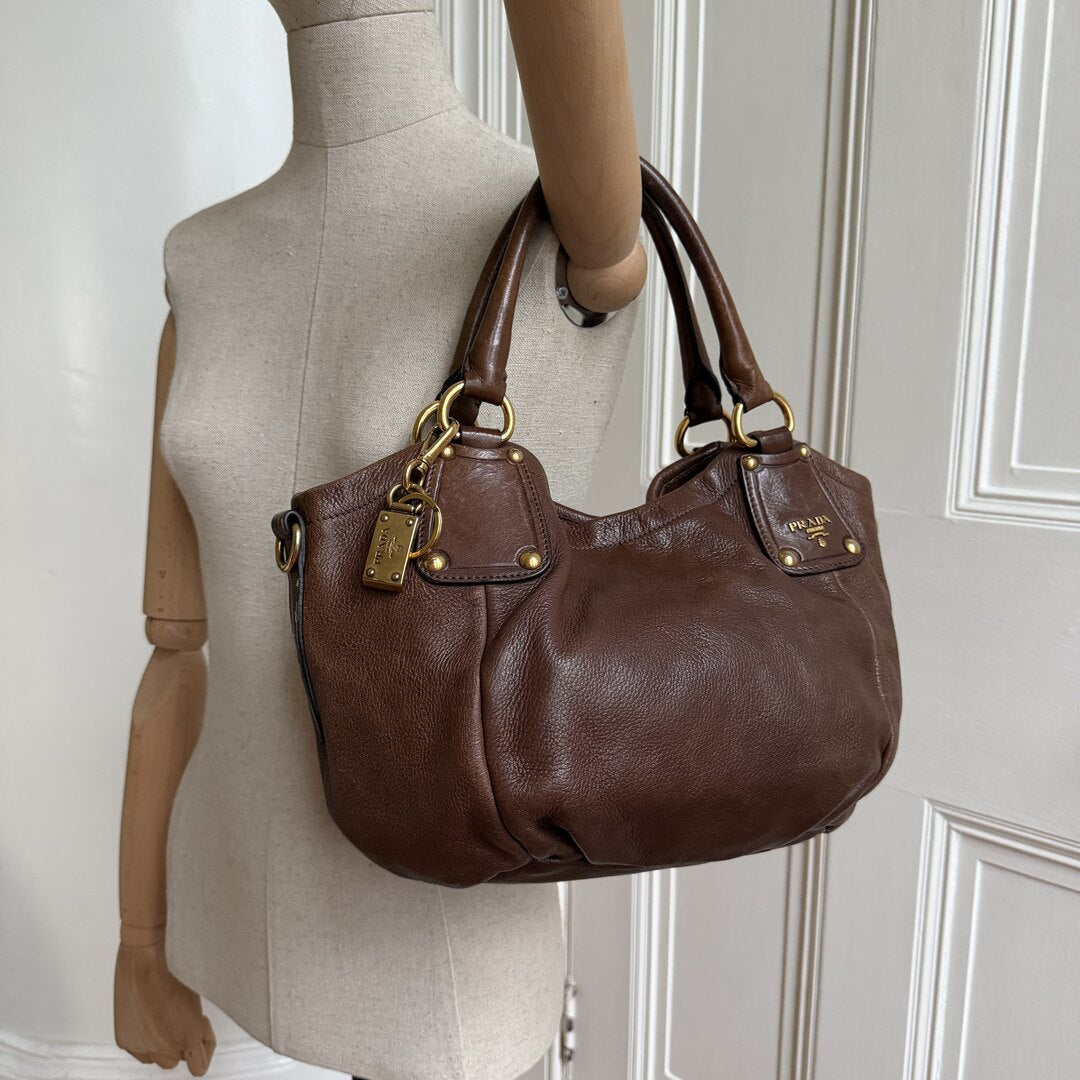 2009 Prada Cervo Shine Brown Leather Shoulder Bag