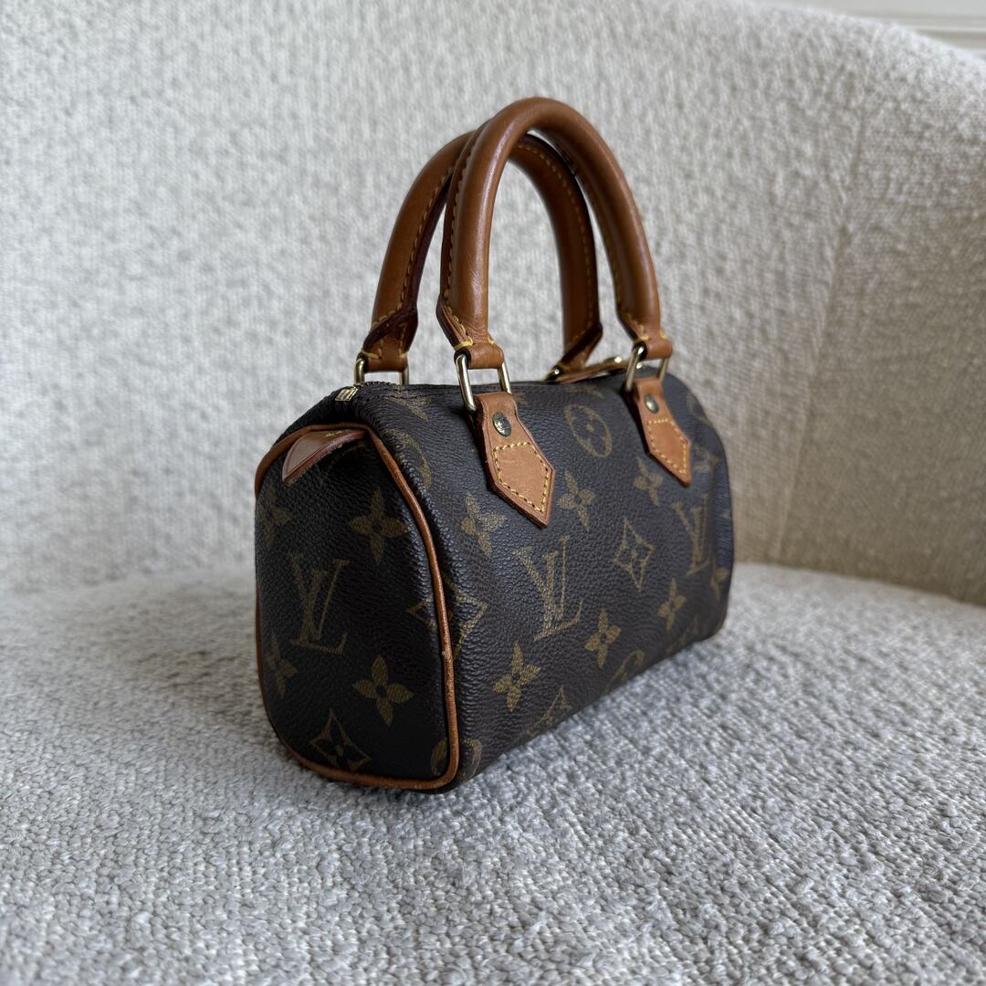 Louis Vuitton Monogram Nano Speedy Bag
