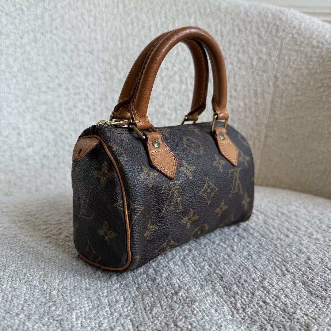 Louis Vuitton Monogram Nano Speedy Bag