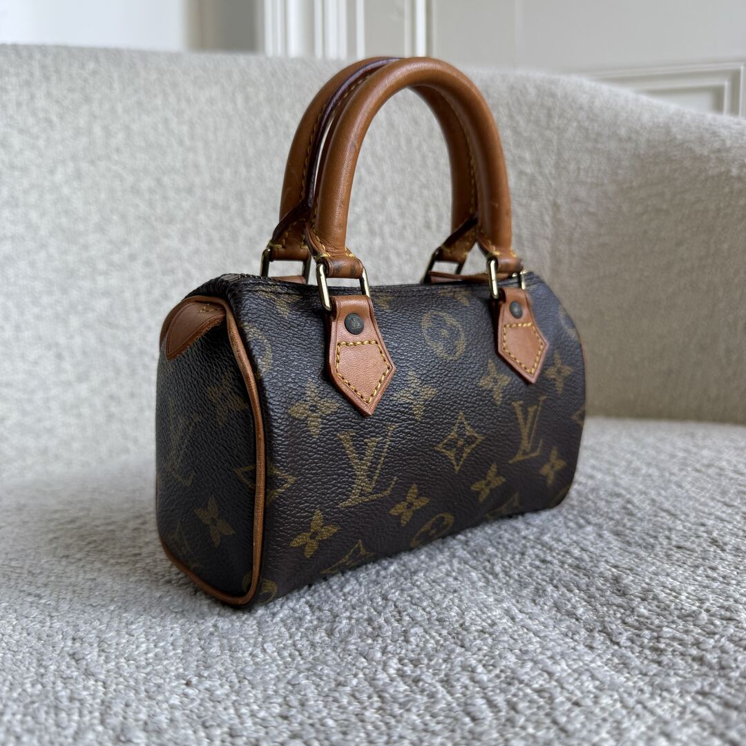 Louis Vuitton Monogram Nano Speedy Bag