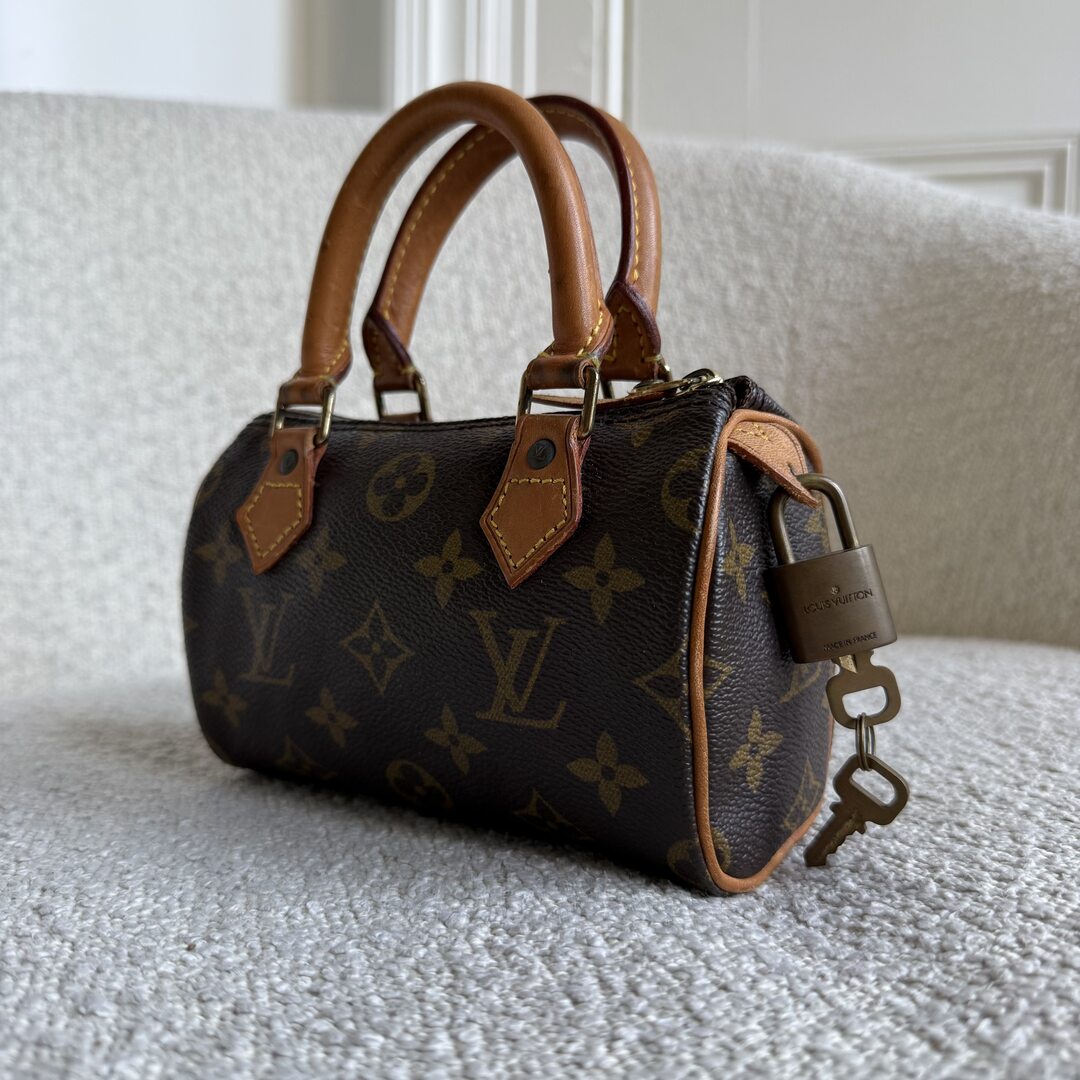 Louis Vuitton Monogram Nano Speedy Bag