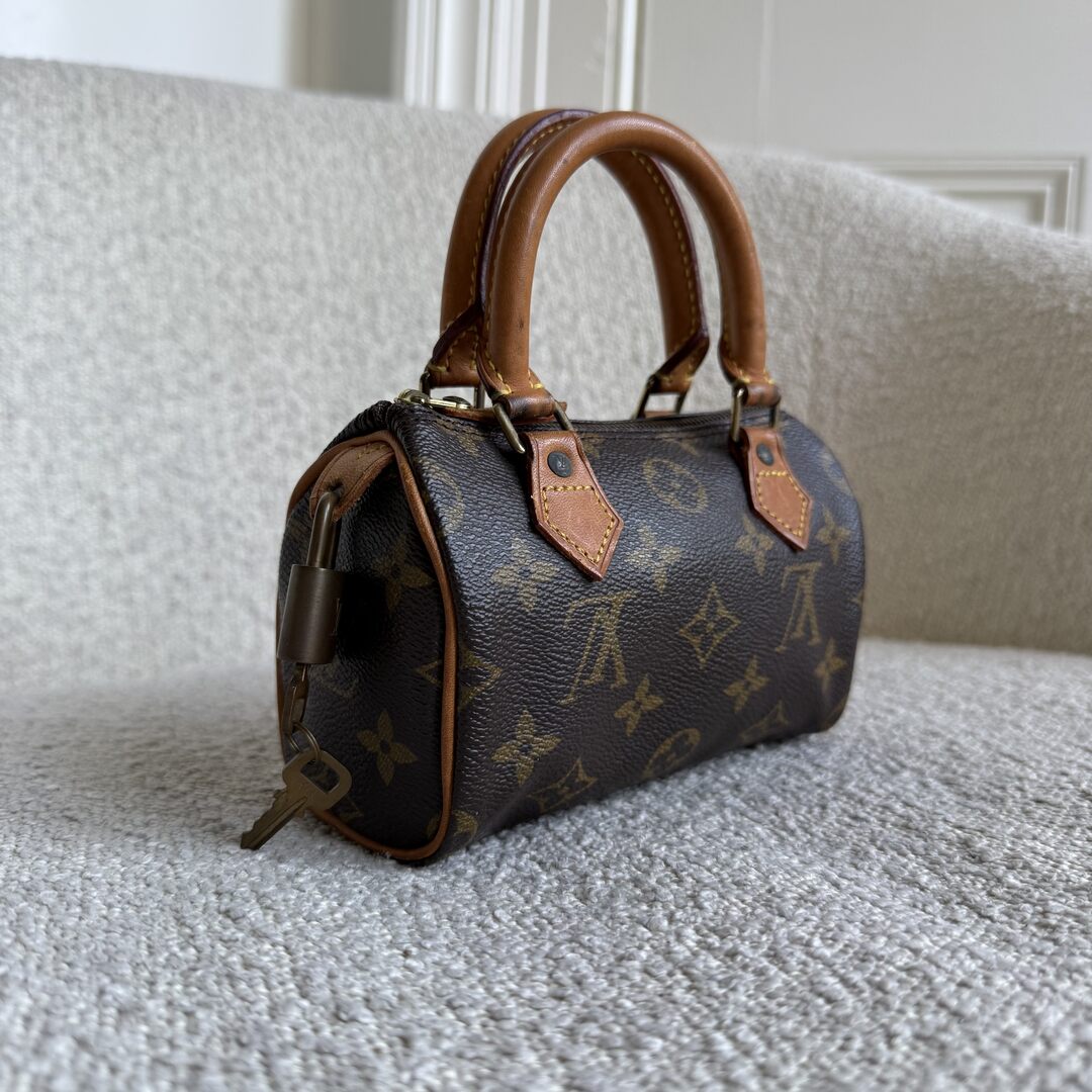 Louis Vuitton Monogram Nano Speedy Bag