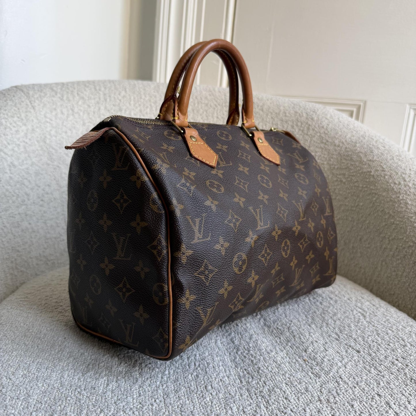 Louis Vuitton Monogram Speedy 30 Handbag