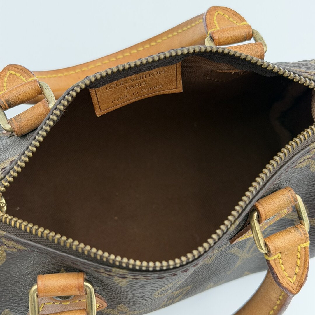 Louis Vuitton Monogram Nano Speedy Bag