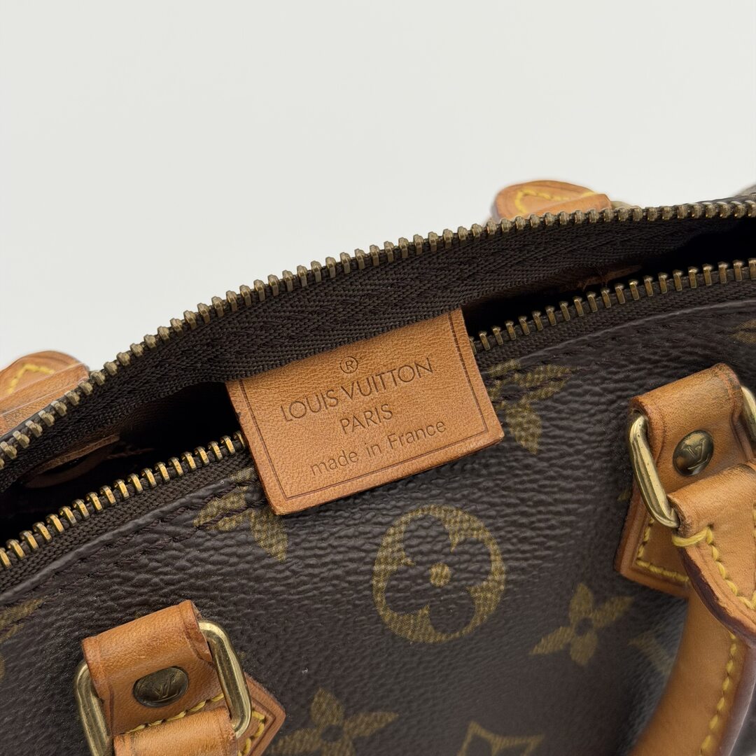 Louis Vuitton Monogram Nano Speedy Bag
