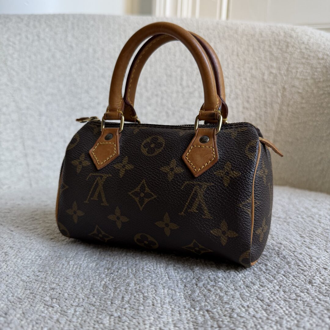 Louis Vuitton Monogram Nano Speedy Bag