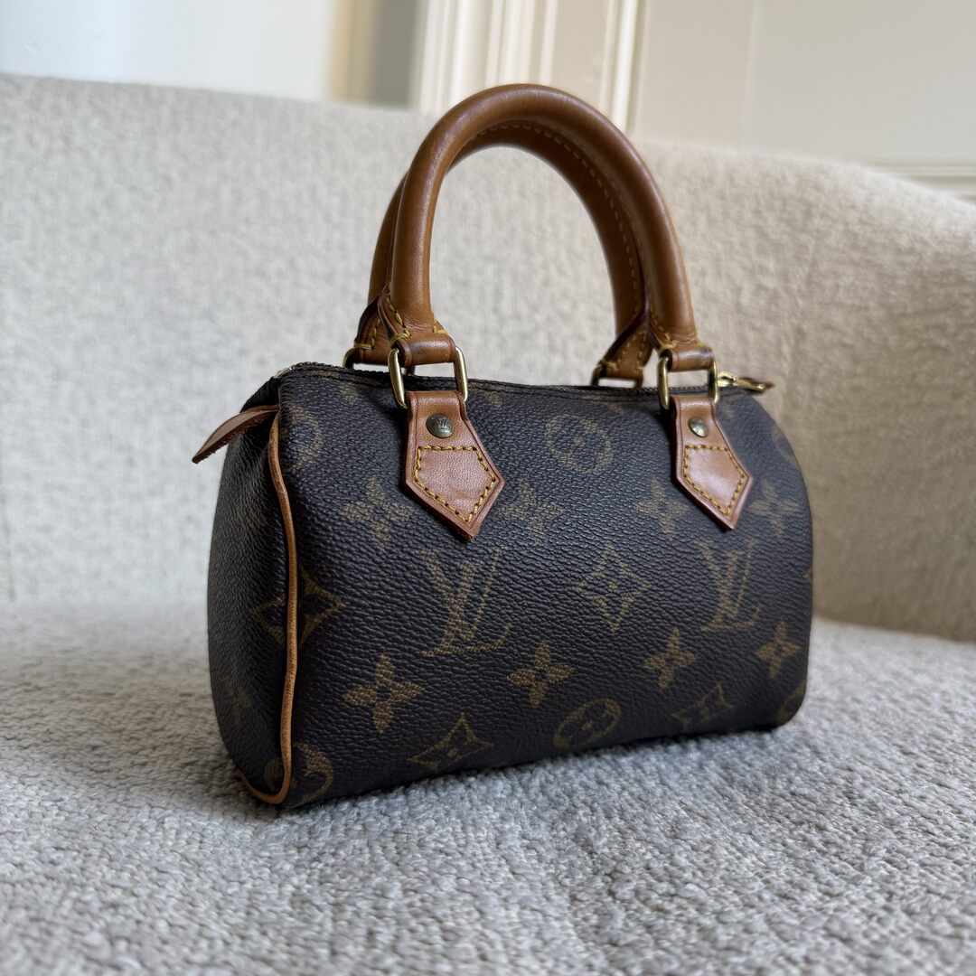 Louis Vuitton Monogram Nano Speedy Bag