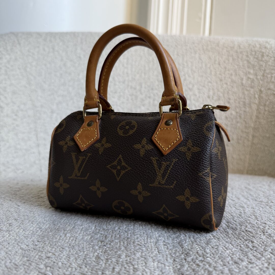 Louis Vuitton Monogram Nano Speedy Bag