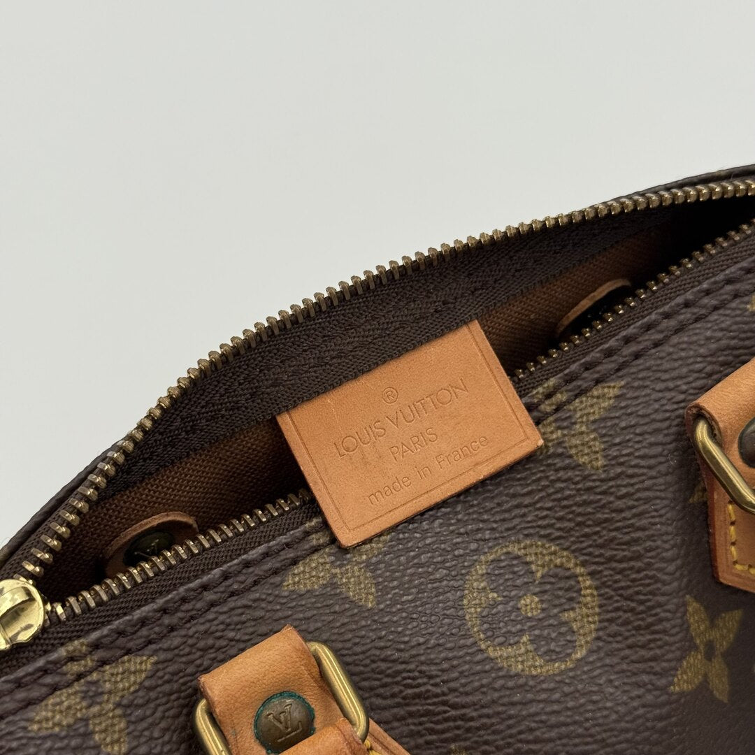 Louis Vuitton Monogram Nano Speedy Bag