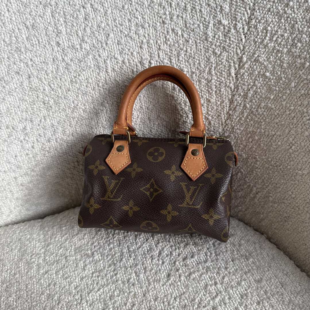 Louis Vuitton Monogram Nano Speedy Bag