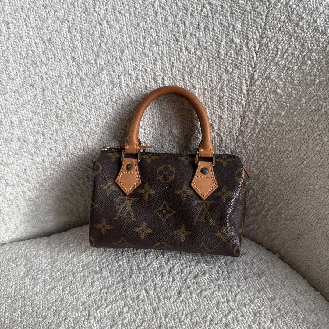 Louis Vuitton Monogram Nano Speedy Bag