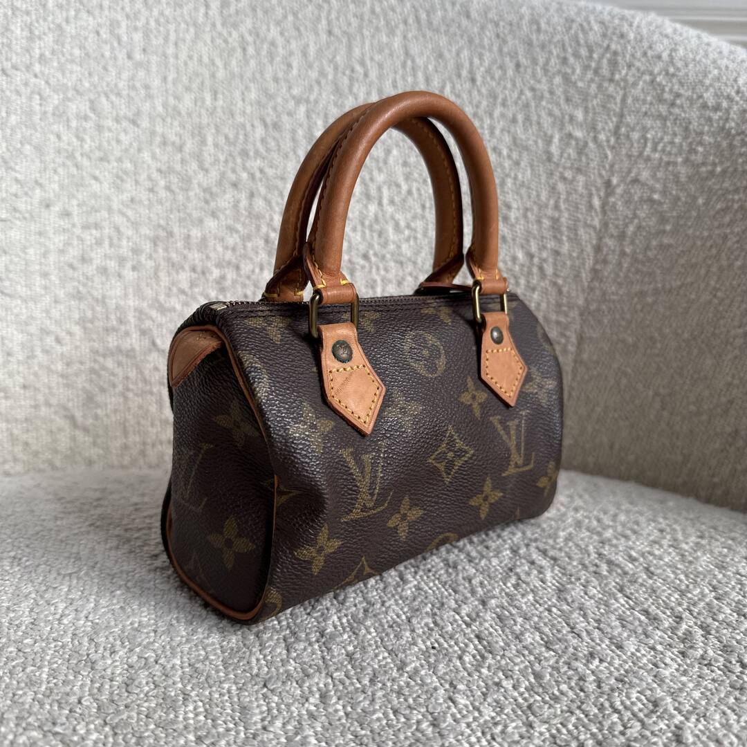 Louis Vuitton Monogram Nano Speedy Bag