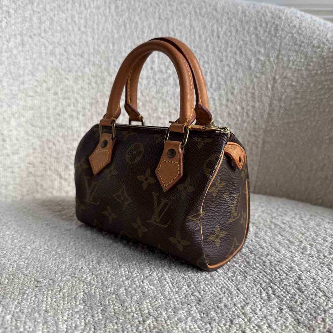 Louis Vuitton Monogram Nano Speedy Bag