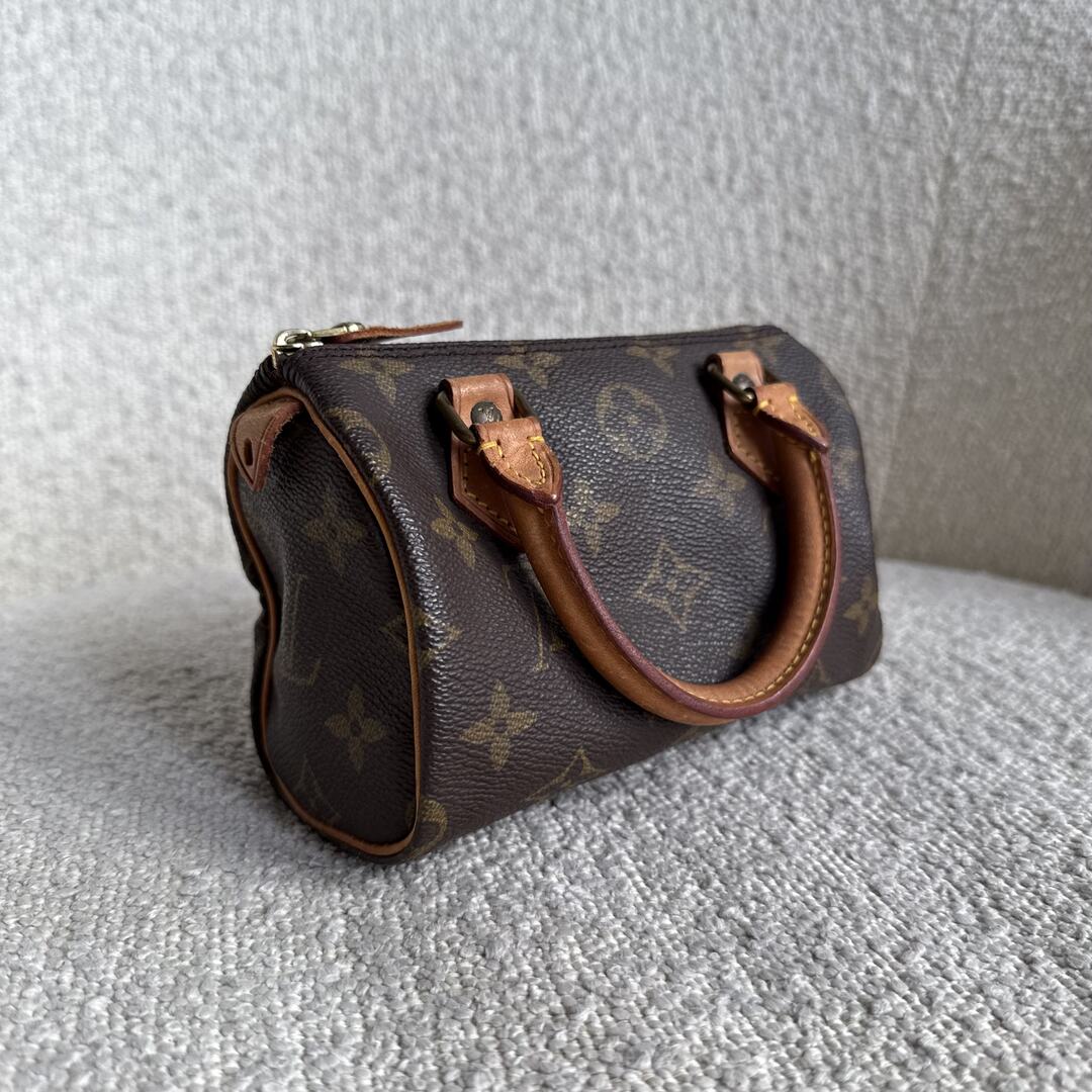 Louis Vuitton Monogram Nano Speedy Bag
