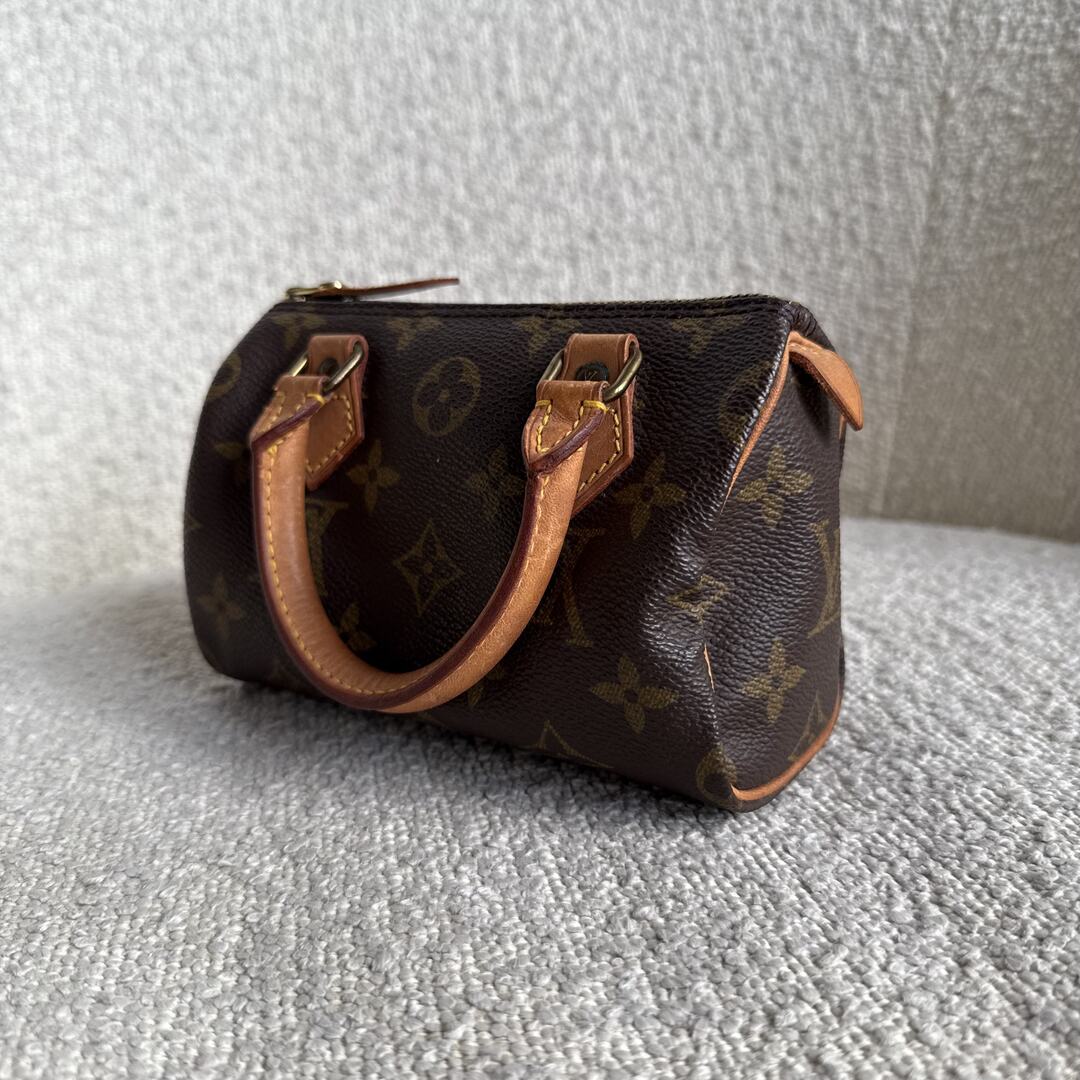 Louis Vuitton Monogram Nano Speedy Bag