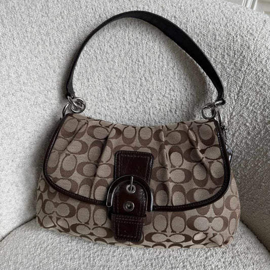 Coach Signature Hobo Brown Shoulder Bag