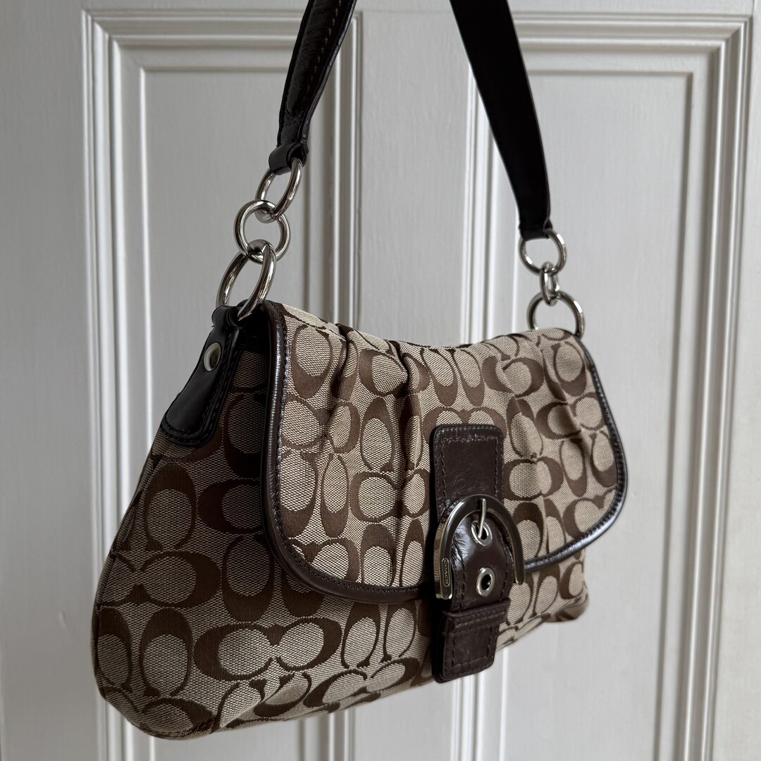 Coach Signature Hobo Brown Shoulder Bag