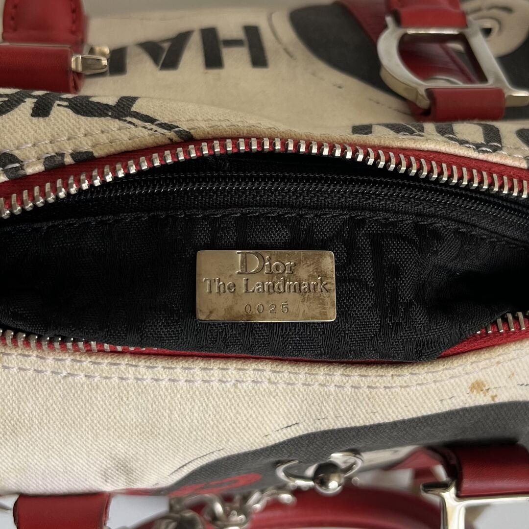 Dior Hardcore Mini Boston Bag