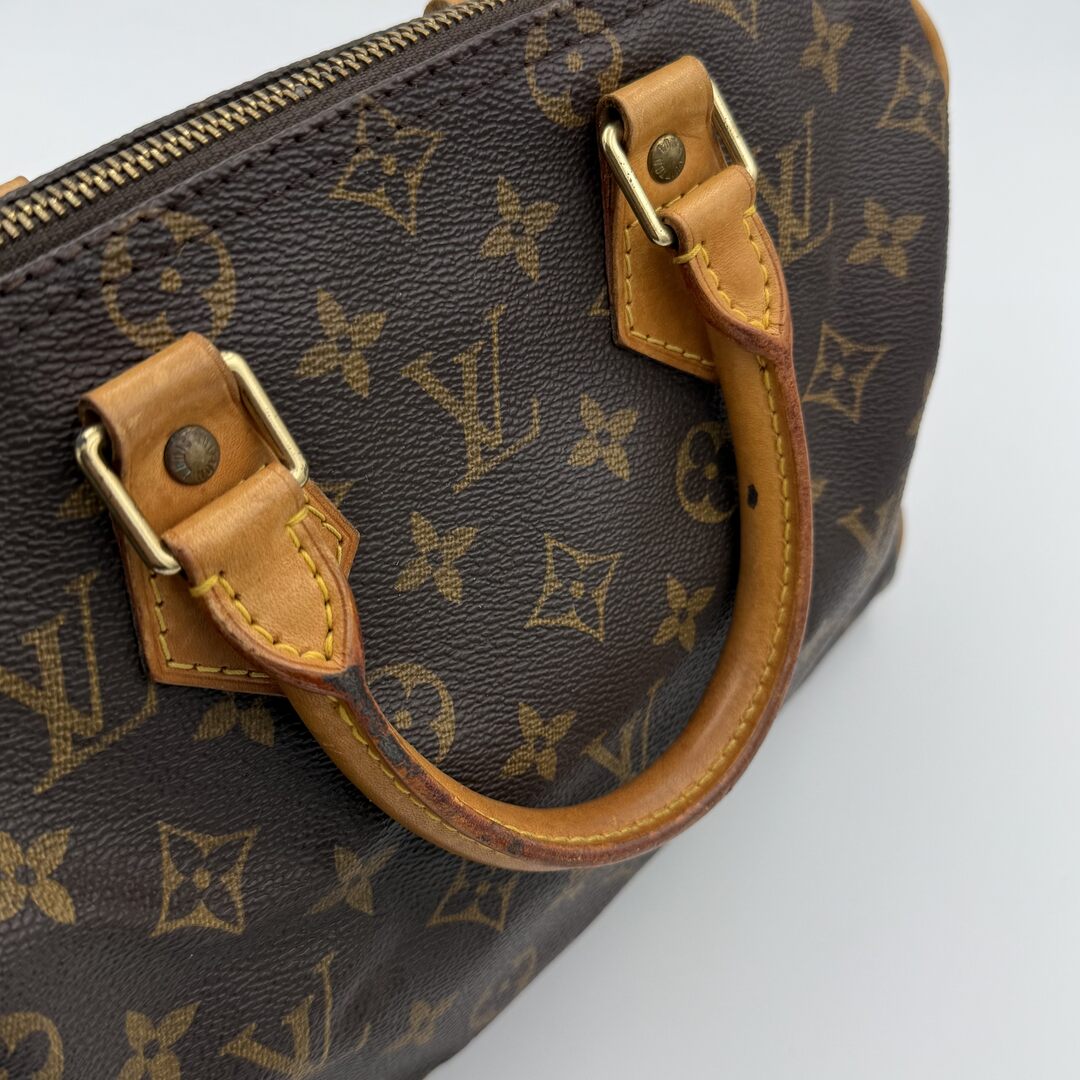 Louis Vuitton Monogram Speedy 25 Handbag