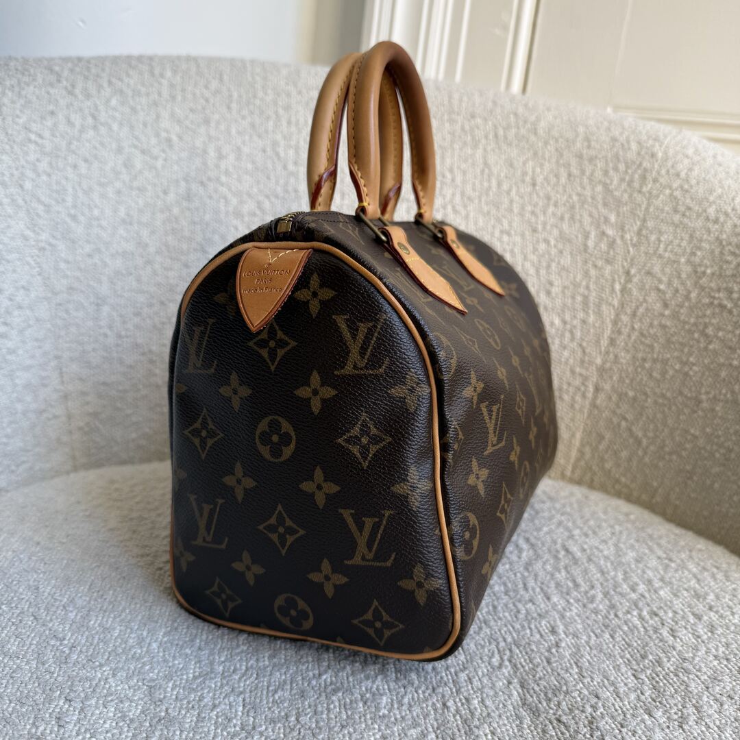 2010 Louis Vuitton Monogram Speedy 25 Handbag