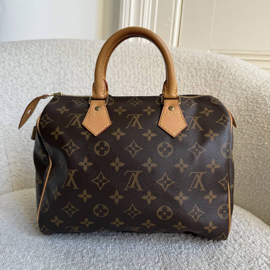 2010 Louis Vuitton Monogram Speedy 25 Handbag