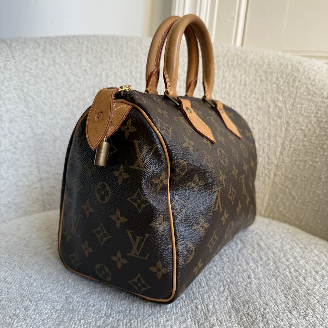 2010 Louis Vuitton Monogram Speedy 25 Handbag