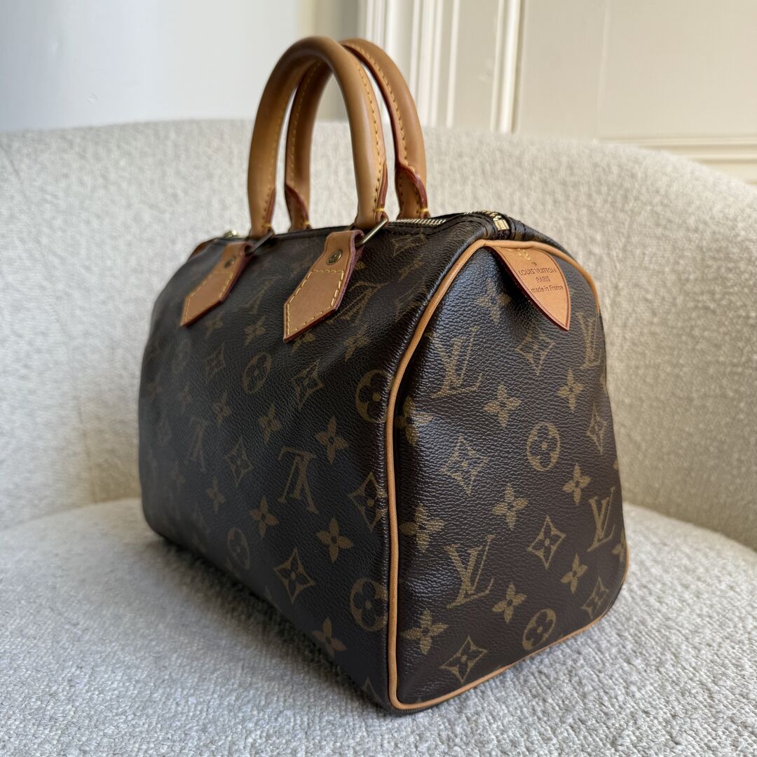2010 Louis Vuitton Monogram Speedy 25 Handbag